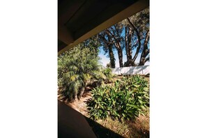 Property grounds - Cardiff Hope House with Ocean View (Encinitas)