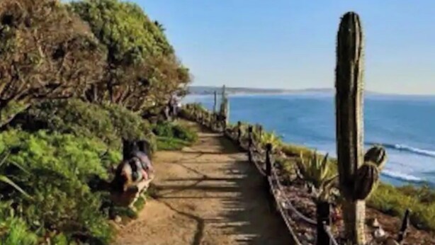 A pathway with a cactus on the right, leading to a coastal area with palm trees. - Cardiff Hope House with Ocean View (Encinitas)