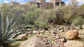 A desert landscape with large rocks, cacti, and sparse vegetation. - Refreshing Desert Oasis: View, Sparkling Pool, Massage Chair, Remote Work Ready (Tucson)