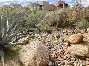 Property grounds - Refreshing Desert Oasis🌵:1st F, Views, Heated Pools, Spas, Massage Chair. (Tucson)