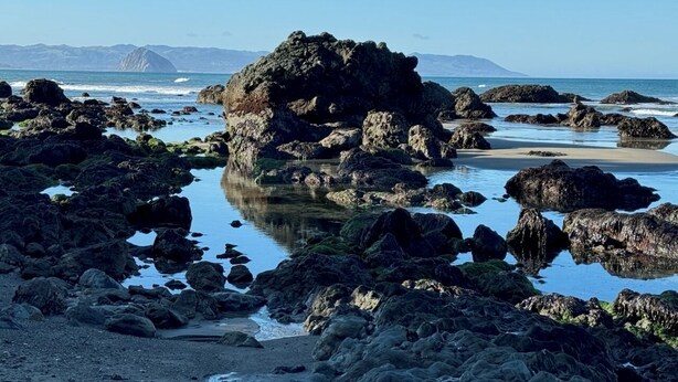 A rocky beach with large boulders and calm water. - Pet Friendly Paso Robles Wine Retreat (Templeton)