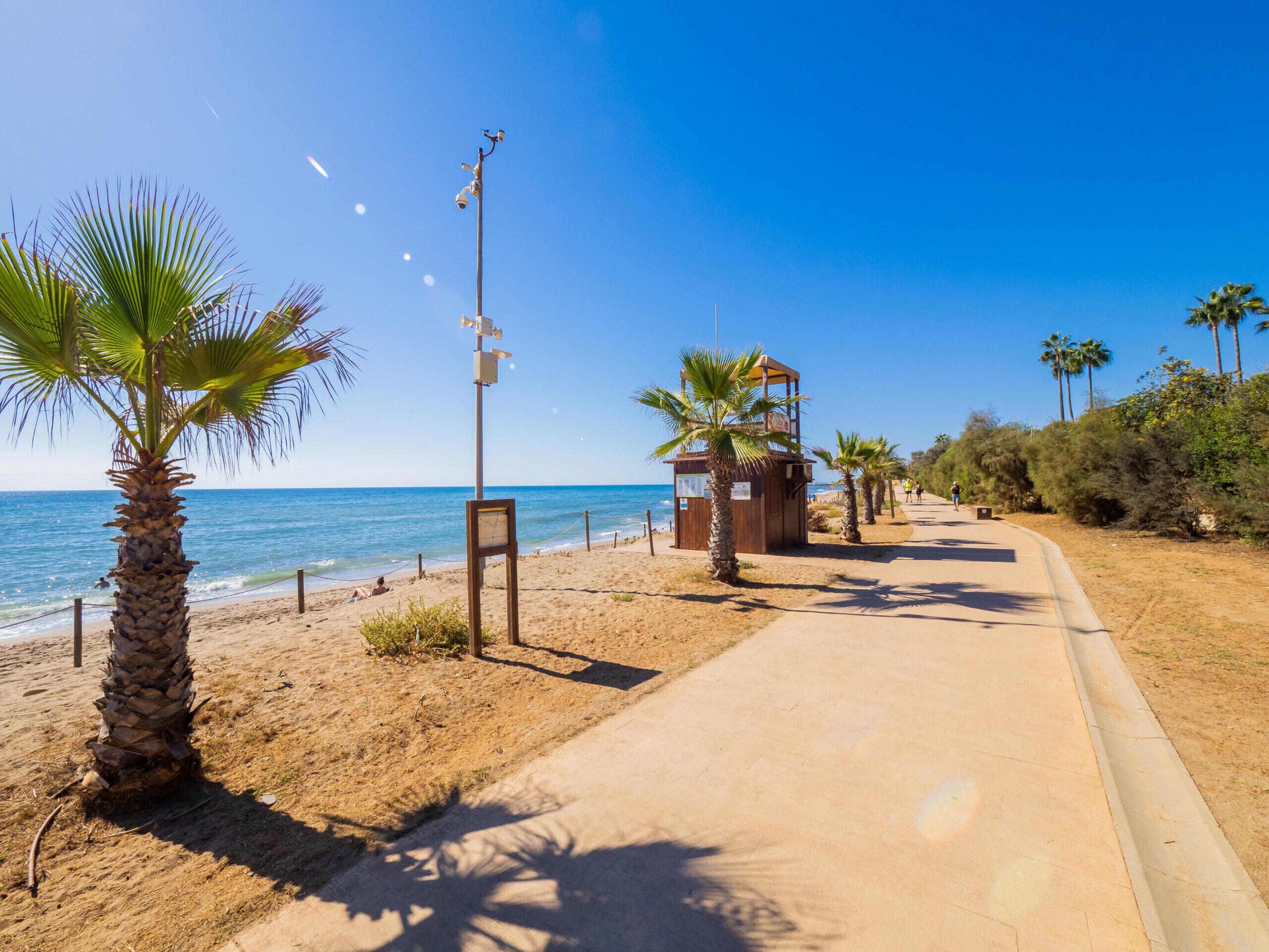 A beach pathway with palm trees, a lifeguard tower, and a clear blue sky.