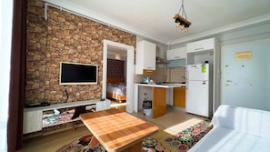 Luxury Apartment