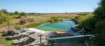 Les Grenouilles - SAINT AUBIN EN CHAROLLAIS