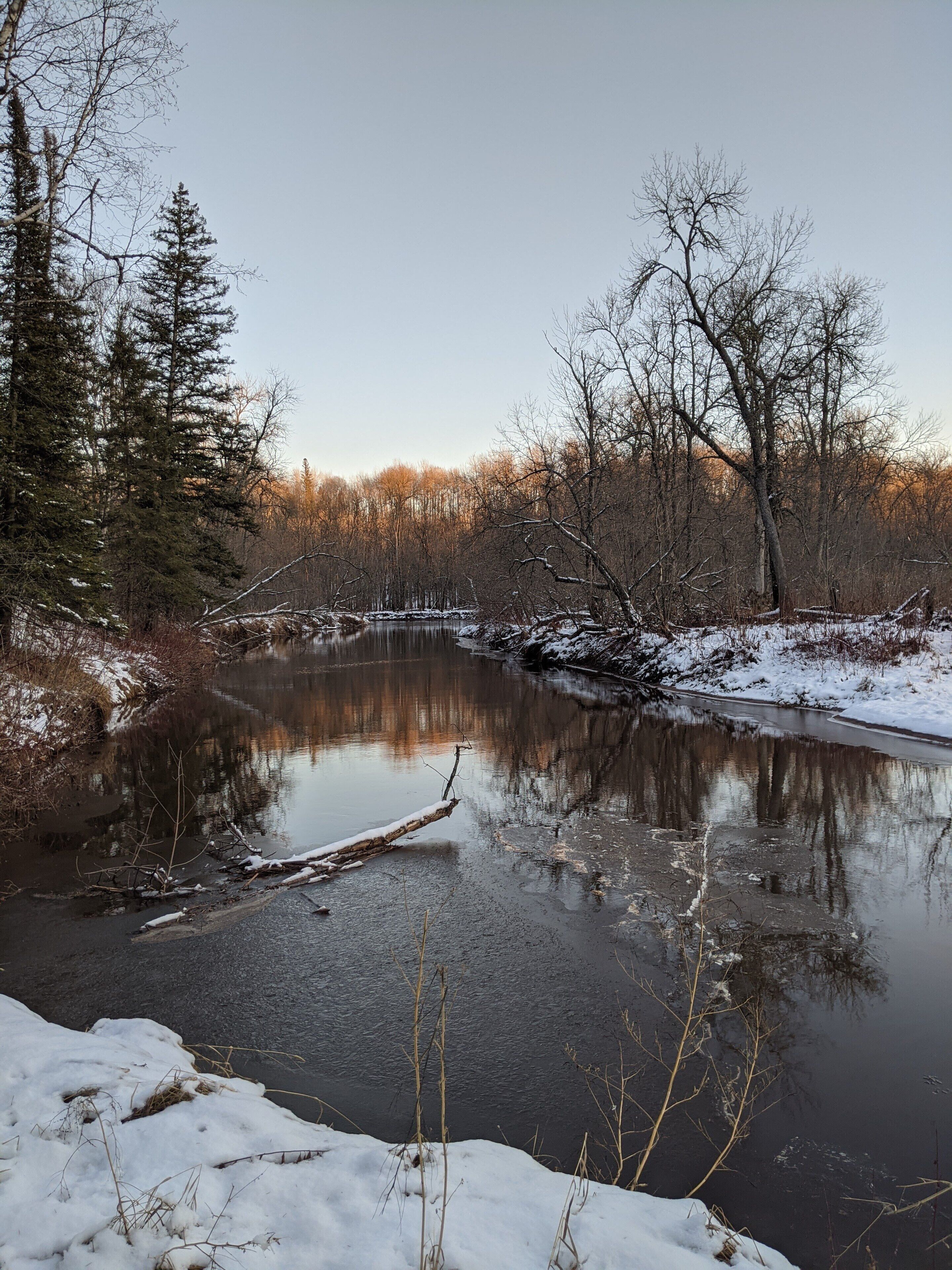 Un paysage hivernal paisible, avec une rivière gelée, un sol recouvert de neige et des arbres sans feuilles.