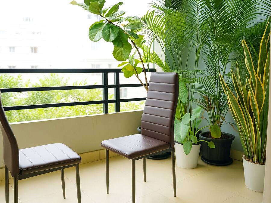 A balcony with two chairs, a potted plant, and a view of greenery.