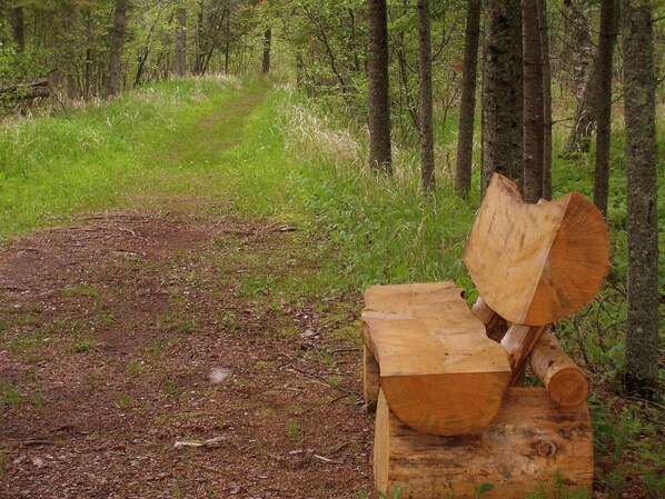 A wooden bench in a forested area with a dirt path leading through the trees.