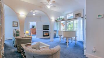 智能電視、壁爐、書籍