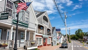 Straatbeeld met gebouwen, waaronder Edward Jones Investments en Maine Artists.