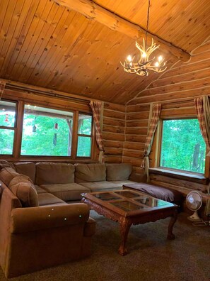 تلفزيون ذكي، مشغل دي في دي، مكتبة فيديو، ستيريو