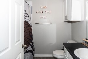 Combined shower/tub, hair dryer, towels, toilet paper - Spacious and centrally located (Dallas)