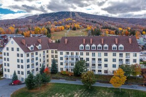 Exterior - Stratton Mtn Studio | Renovated  | Walk to Lifts (Stratton Mountain)