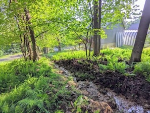 Overnatningsstedets område