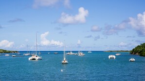 Un puerto deportivo con varias embarcaciones fondeadas en aguas tranquilas, rodeado de vegetación y un cielo despejado.