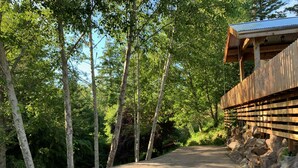 A paved pathway flanked by trees and a wooden structure with a metal roof. - Macklyn Creek retreat (Brookings)
