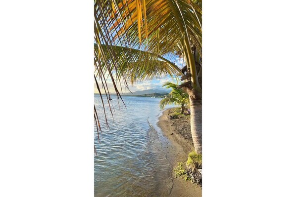 Perto da praia, toalhas de praia 