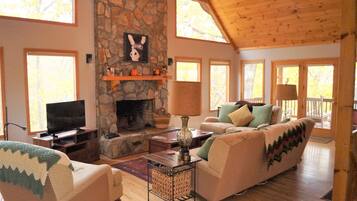 Smart TV, fireplace, books