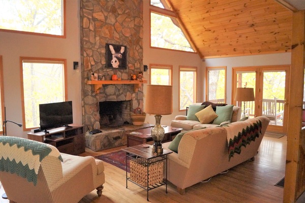 Smart TV, fireplace, books