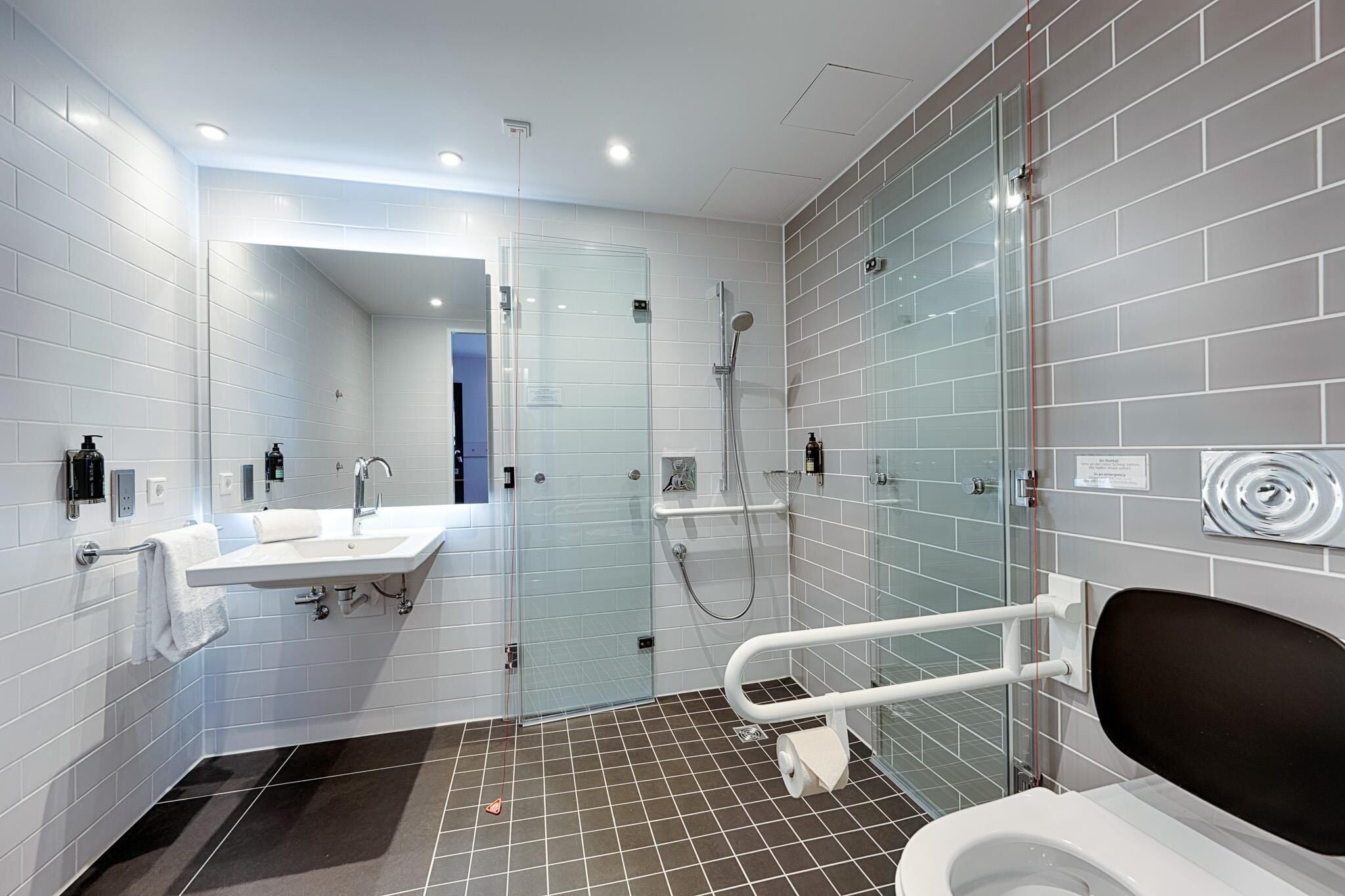 A modern bathroom with a glass shower enclosure, a white sink, and a toilet.