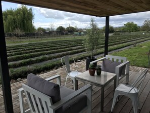 تناول الطعام بالخارج