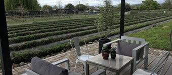 Guest House in the Lavender Field