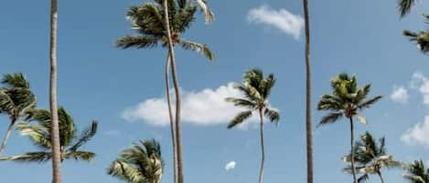 On the beach, sun loungers, beach towels