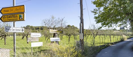 Een landweg met richtingaanwijzingen naar verschillende locaties, zoals Finca San Ameller, ES CASTELL en Finca Can Grenat.