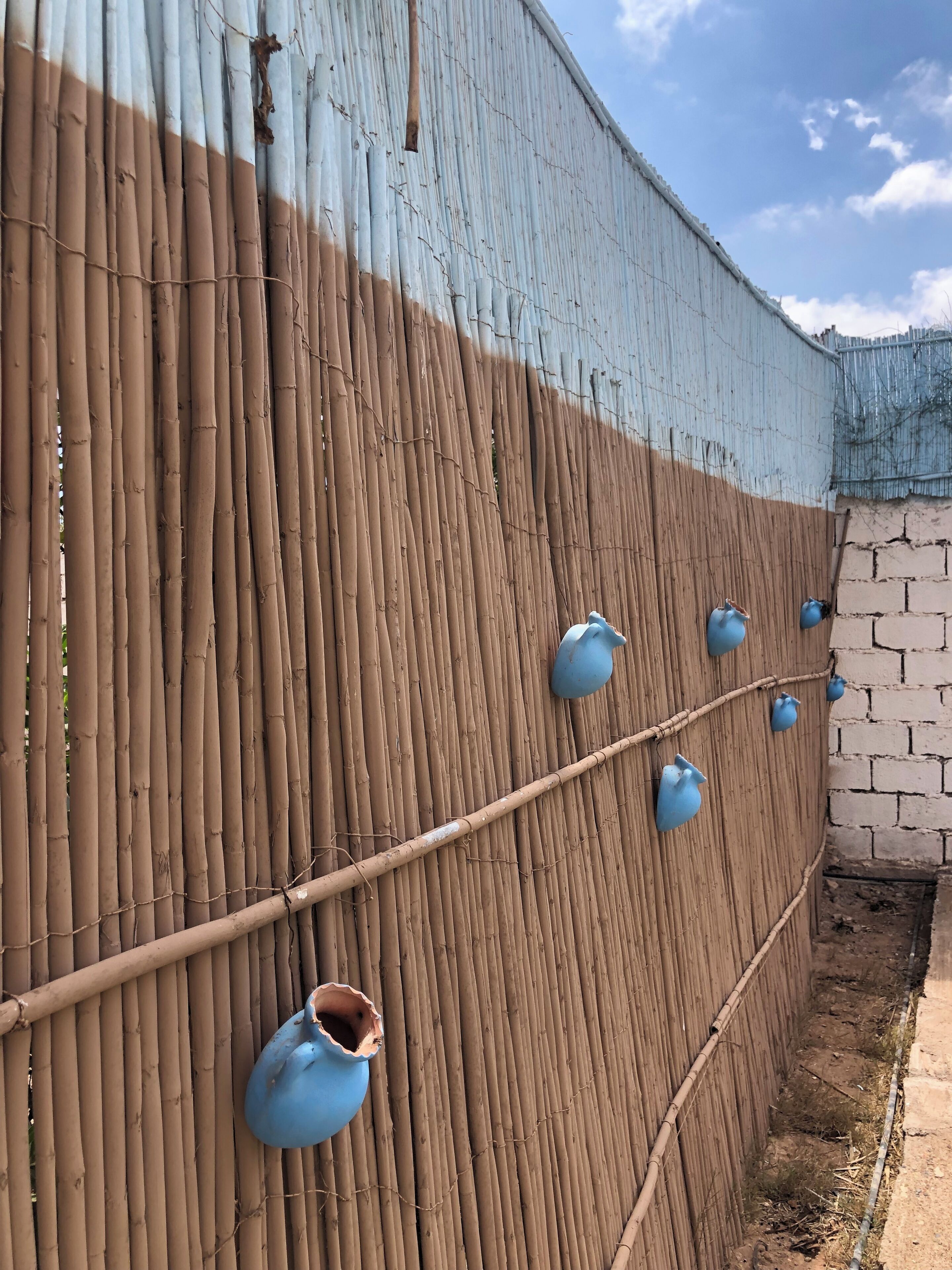 Enceinte de l’hébergement