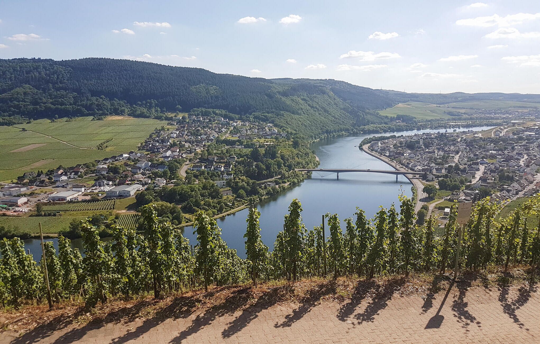 Eine Stadt am Flussufer mit Weinbergen, einer Brücke und einer hügeligen Landschaft im Hintergrund.