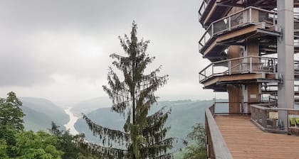 Magnifique appartement Ă TrĂšves avec.