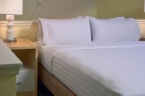 Unit with Queen bed. Exact unit will be assigned upon arrival. Views, colors, and decor may vary