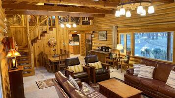 TV connectée, cheminée, lecteur de DVD, livres