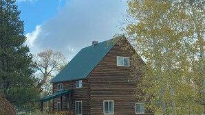 Eine Blockhütte mit einem grünen Dach, einer Veranda und einer kleinen Terrasse.