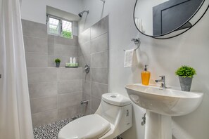 Chuveiro, secador de cabelo, toalhas de banho, sabonete