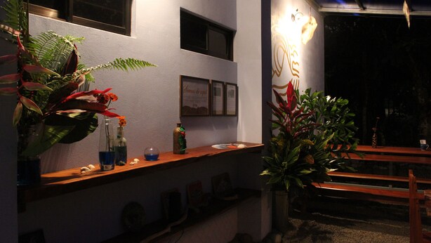 A bar area with a wooden counter, potted plants, and framed pictures on the wall. - Private room for 2 people 26 km from Jaco (San Antonio de Tulín)