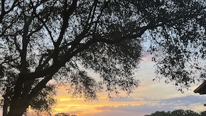 Un campo cubierto de hierba con una valla y árboles, y una puesta de sol al fondo.