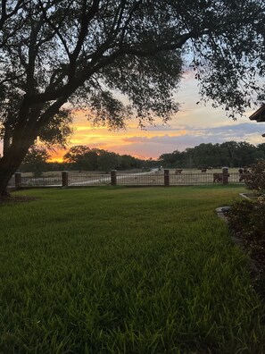 Property grounds - Sunset Farm in Aggieland - Country Life 15 miles from Kyle Field - up to 14 ppl (Bryan)