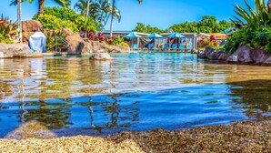A clear pool with lounge chairs and umbrellas, surrounded by tropical plants and rocks. - BRAND NEW AC | Ground Floor 1 Bdrm | Peekaboo Ocean View | Pool | 5 Min to Beach (Koloa)