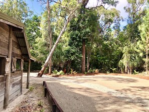 Cabana tradicional (Pioneer Traditional Cabin) | Vista do quarto