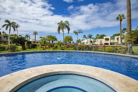 A swimming pool with a tiled edge, surrounded by palm trees and a clear blue sky.