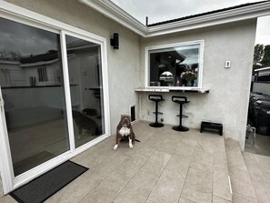 A dog sitting in a covered patio area with a sliding glass door and a small window.