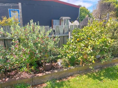 Classic Kiwi Bach at Otaki Beach. Pet and Family Friendly!