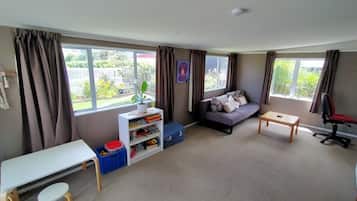 Smart TV, fireplace, books, offices