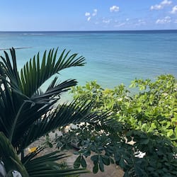 Enjoy a serene ocean view with a tranquil dock and lush garden surroundings.