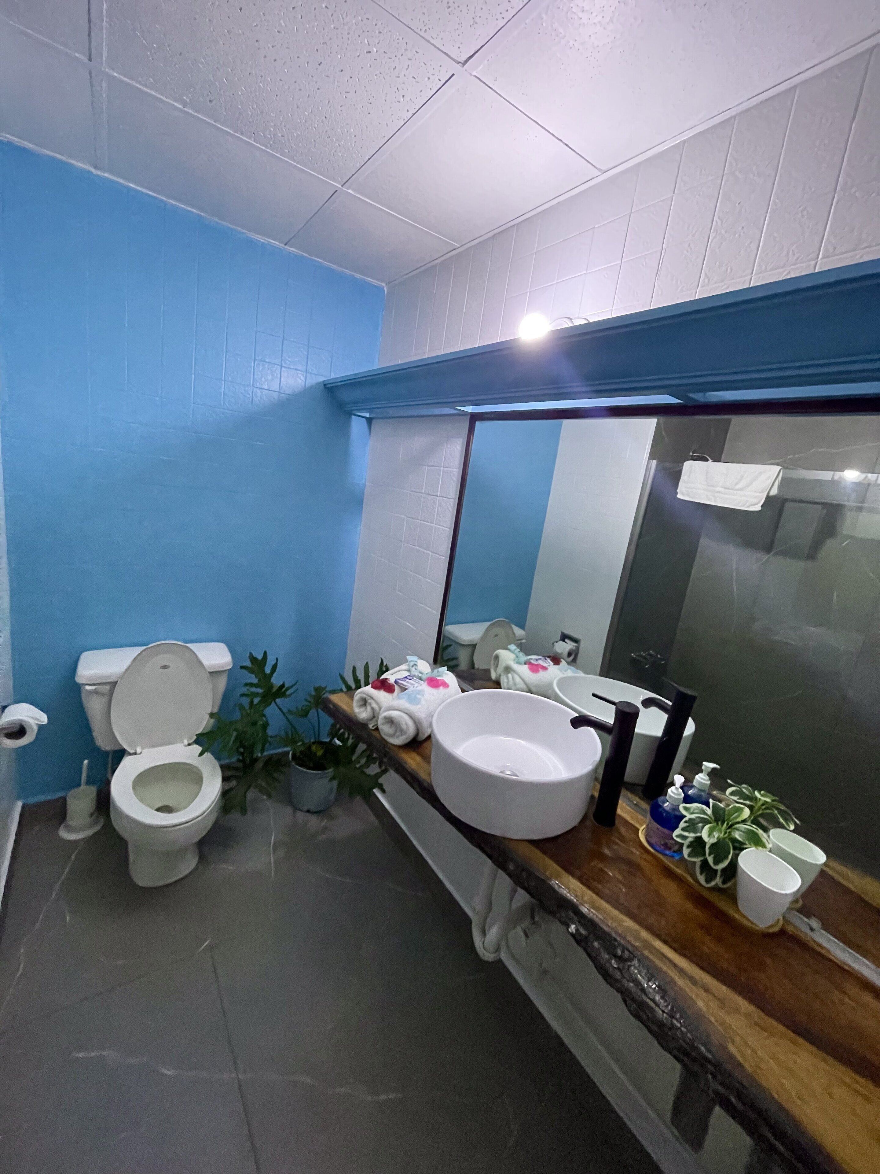 Une salle de bain avec des toilettes, un lavabo et un miroir.