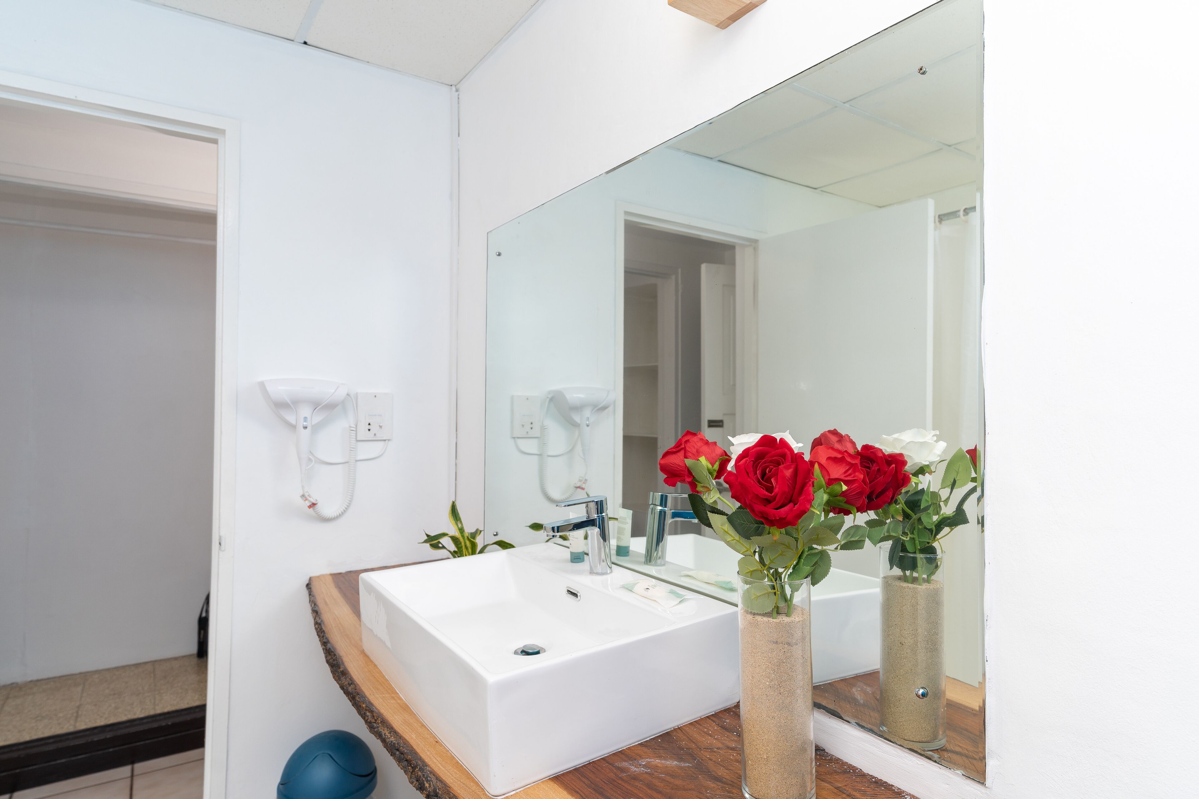 A bathroom with a white sink, a mirror, and a vase with red roses.