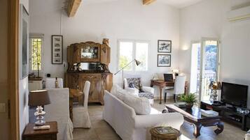 Télévision, cheminée, lecteur de DVD, livres