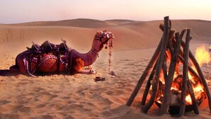 A camel resting near a campfire in a desert setting. - Desert Over Night Camp & Resort (Jaisalmer)