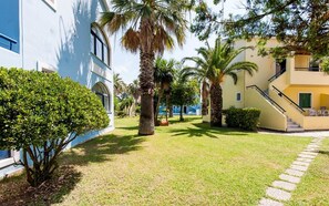 A courtyard with a palm tree, a hedge, and a building with a staircase.