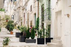 Une rue Ă©troite bordĂ©e dâimmeubles, avec des plantes en pot et un vĂ©lo.